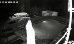 Funny Video : Überraschung beim Nachtbaden