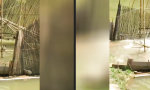 Lustiges Video : Gotcha!