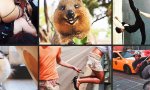 Fun Pic : Donnerstag Fun PicDump #296