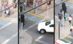 Funny Video : Kurz mal den Rückwärtsgang eingelegt