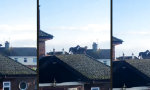 Lustiges Video : Watchdogs
