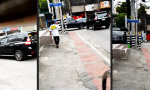 Funny Video : Vorfahrt-Fight