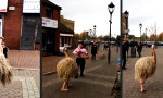 Funny Video : Komisches Gespann