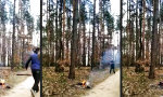 Funny Video : Wenn der Stammbaum mehr drauf hat als deiner