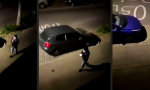 Funny Video - Karma von seiner Mudda