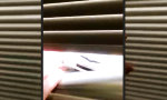 Movie : Ganz normaler Ausblick aus dem Küchenfenster