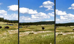 Lustiges Video : Wenn man der Natur auf die Pelle rückt