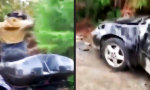 Funny Video : Mit dem Quad abgeschleppt