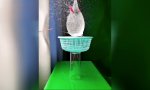 Movie : Gesiebte Wasserbombe in Slowmo