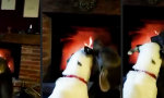 Funny Video : Romantisches Kaminfeuer