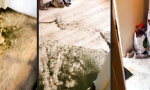 Funny Video : Der Baum hat dieses Jahr etwas genadelt