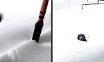Movie : Juhu, Tiefschnee!