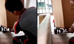 Lustiges Video : Der beste Freund des Möbelpackers