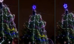 Movie : Der gefallene Weihnachtsstern