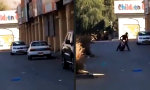 Lustiges Video : So helfe ihm doch endlich jemand!