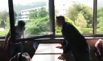Movie : Wenn die Knaben ihr Haupt schulen