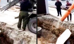 Lustiges Video : Der gute Wille zählt