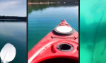Funny Video : Idyllische Klarsicht