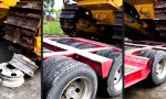 Lustiges Video : Hochbetrieb an der Resterampe