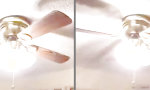 Lustiges Video : Die Frage des Tages