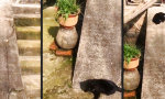 Funny Video : Schnurrende Steinpolitur