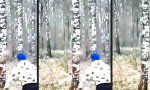 Movie : Leg dich nicht mit einer Birke an