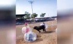 Funny Video : Stierkampf im Wandel