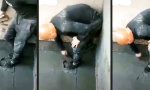 Lustiges Video : Bis in die letzte Ecke