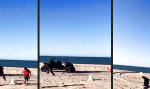 Funny Video : Den Gewinner auseimern