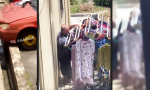 Funny Video : Heute ist wieder Waschtag