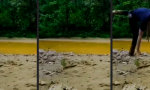 Movie : Kopflos abgedreht