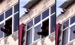 Lustiges Video - Das Fenster zum Hof