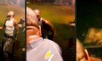 Funny Video : Gute-Nacht-Schuss