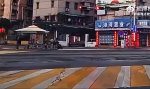 Funny Video : Hart im Nehmen