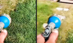 Funny Video - Diffuse Aktion