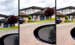 Funny Video - Geile neue Nachbarn
