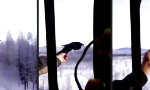 Movie : Greifvogel-Ausbildung