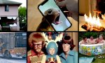 Donnerstag Fun PicDump #457