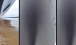 Funny Video : Volle Kraft voraus