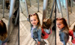 Lustiges Video : Doppelt spiegelt besser
