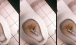 Wie es in die Schüssel hineinruft