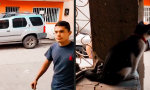 Funny Video - Nichts geht über kätzlichen Segen