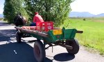 Lustiges Video : Amazon Rumänien macht’s möglich