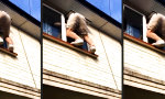 Funny Video - Nur einer schafft es rein