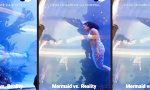 Movie : Schock-Transformation einer Meerjungfrau