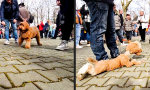 Funny Video - Ein unheimlicher Freund