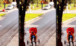 Funny Video : Essen auf vier Rädern