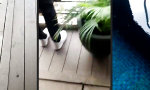 Funny Video : Wunderschöne Aussicht