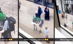 Lustiges Video : Volle Kanne auf Entdeckungsreise