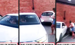 Funny Video - Parken mit emotionalem Beistand